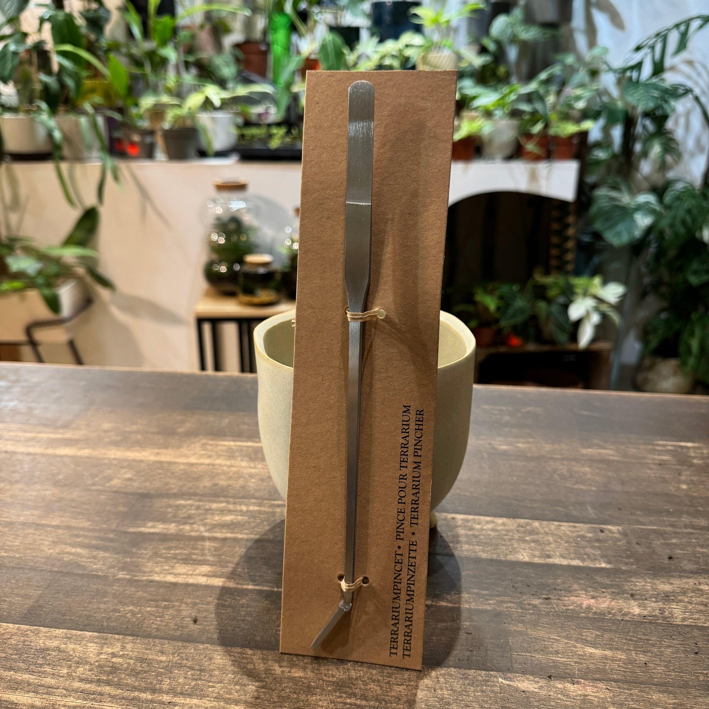 Kit 4 outils Terrarium