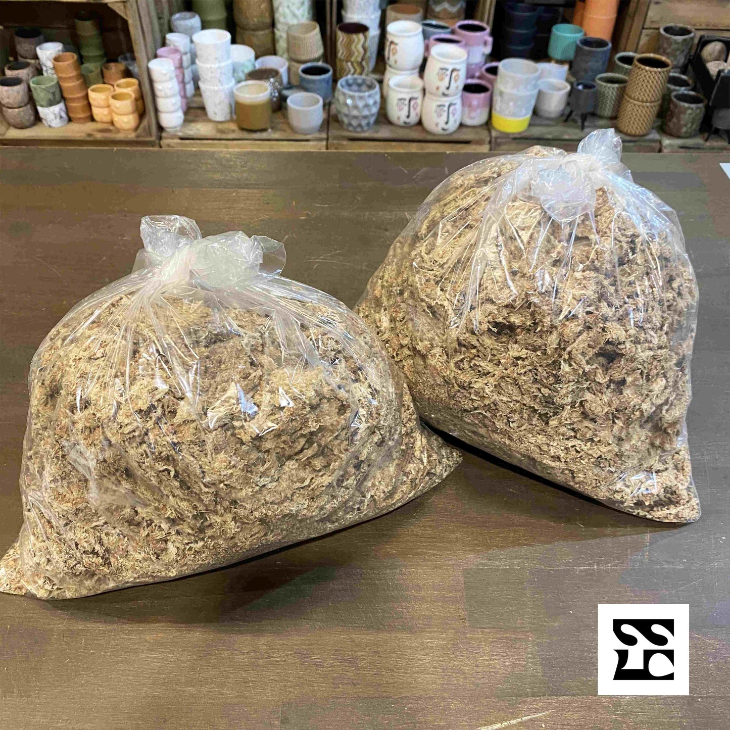 Sphaigne déshydratée 250gr - Sous La Canopée