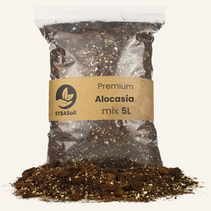 Terreau SYBASoil  Alocasia mix 5L