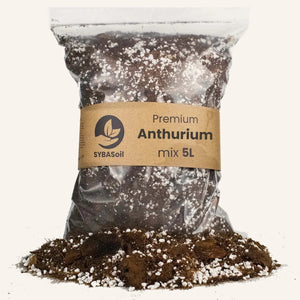 Terreau SYBASoil  Anthurium mix 5L