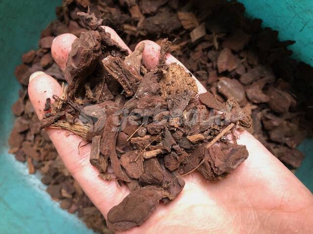 Ecorces d'orchidées En vrac 3L