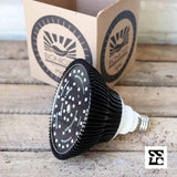 Bionicled - Lampe de croissance S