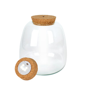 Terrarium Verre (avec LED) ↕25cm ø23,5cm